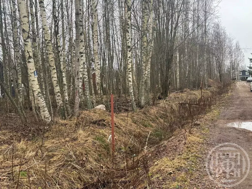 Участок в Ленинградская область, Ломоносовский район, Пениковское ... - Фото 1