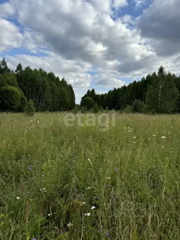 Участок в Тульская область, Дубенский район, Воскресенское с/пос, д. ... - Фото 2
