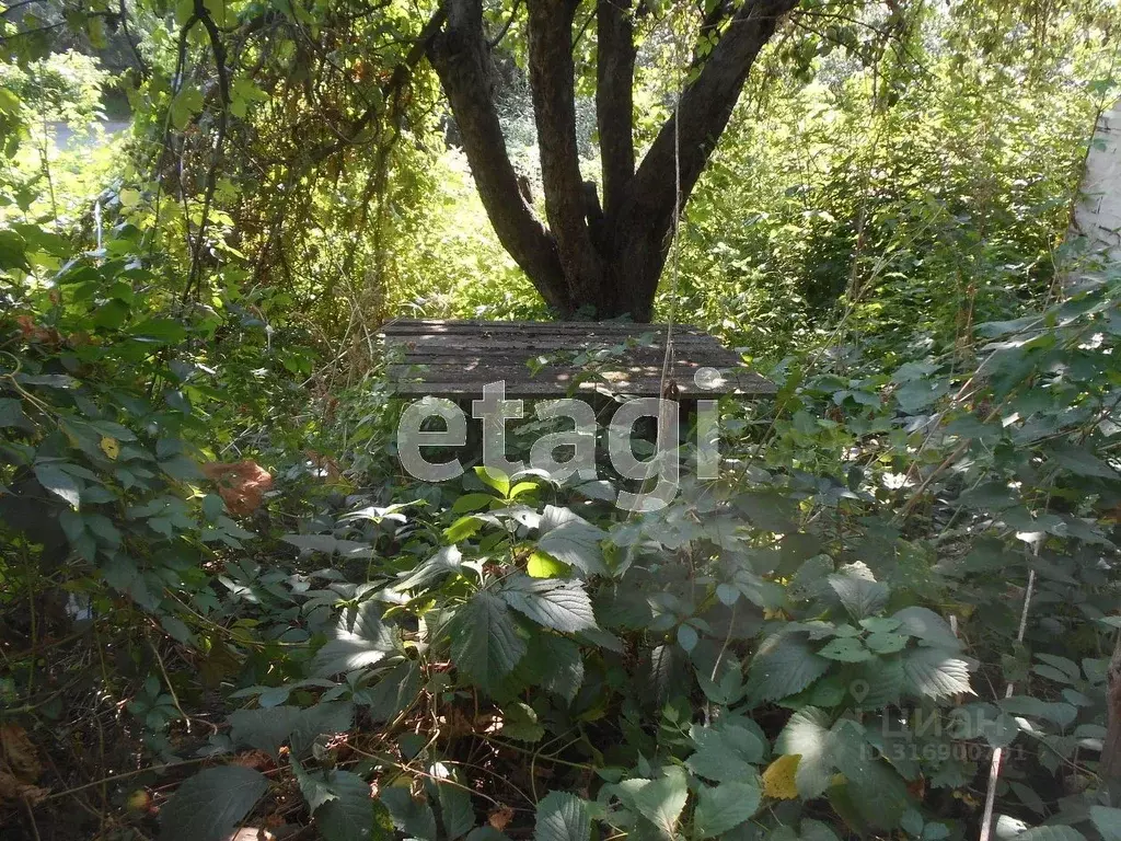 Участок в Белгородская область, Валуйки ул. Энгельса (4.7 сот.) - Фото 1