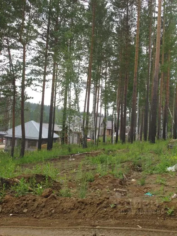 Участок в Иркутская область, Иркутский муниципальный округ, Маркова ... - Фото 1