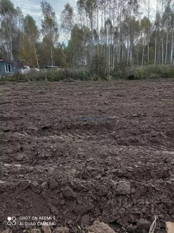 Участок в Нижегородская область, Богородский муниципальный округ, д. ... - Фото 1