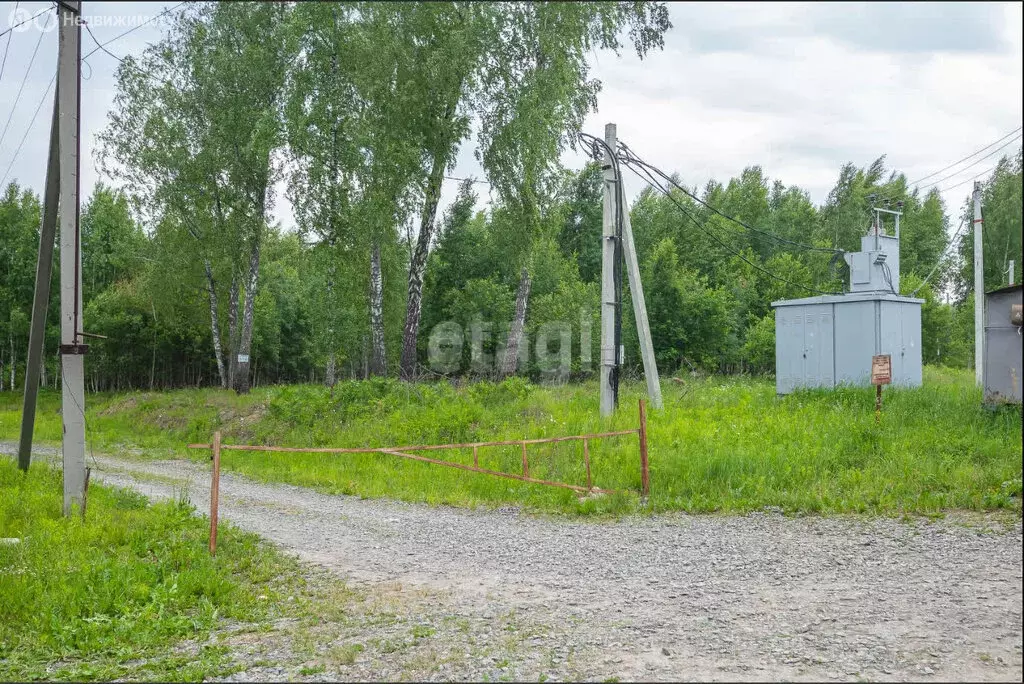 Участок в Барышевский сельсовет, ДНТ Лазурный Берег (8.9 м) - Фото 0