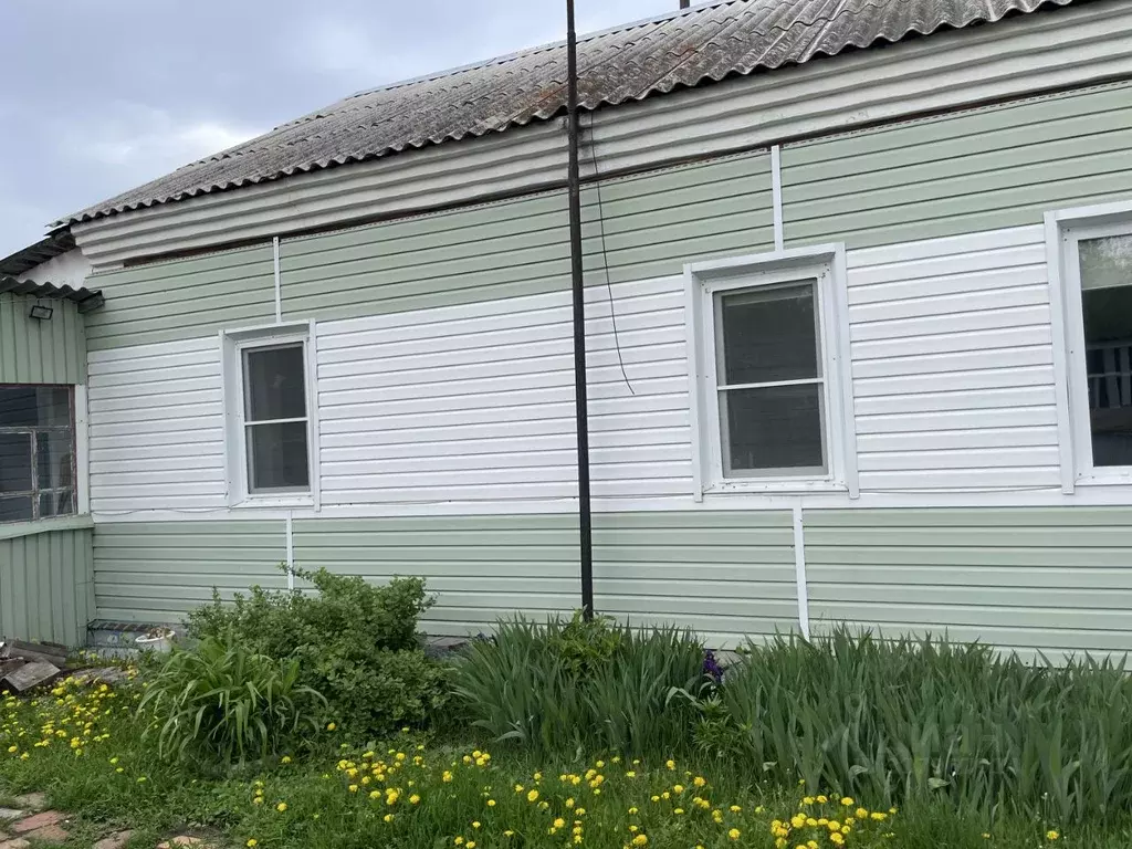 Дом в Омская область, Омский район, с. Красноярка  (56 м) - Фото 0