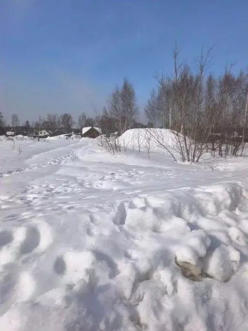 Участок в Московская область, Орехово-Зуевский городской округ, с. ... - Фото 1
