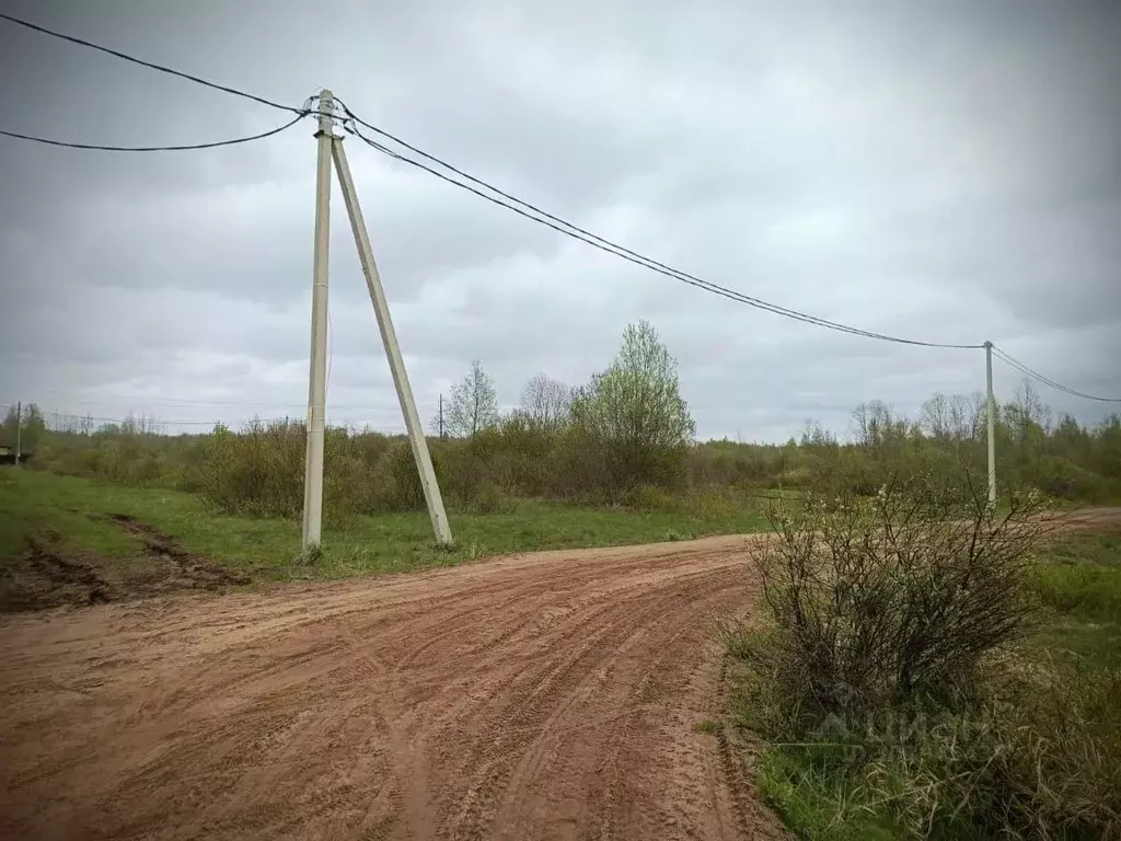 Участок в Новгородская область, Малая Вишера пос. Веселая Горка,  ... - Фото 0