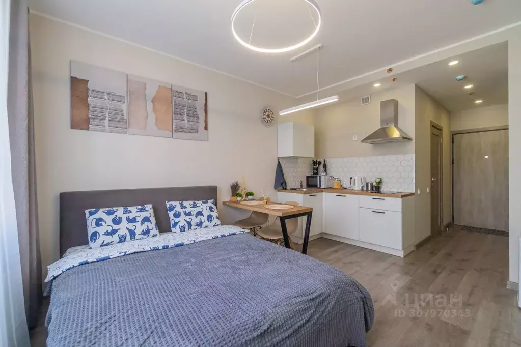 Студия Санкт-Петербург Витебский просп., 101к1 (25.0 м) - Фото 1