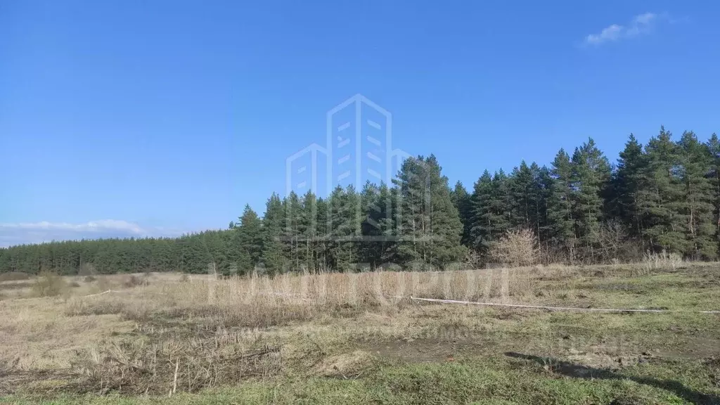 Участок в Тамбовская область, Тамбовский муниципальный округ, с. Лысые ... - Фото 1