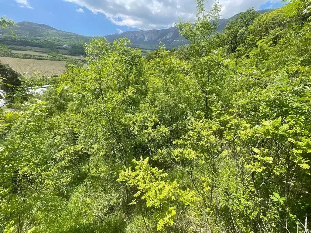 Участок в Крым, Ялта  (8.8 сот.) - Фото 0