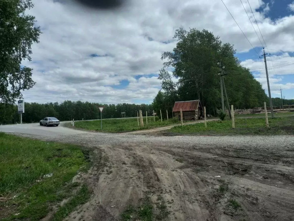 Купить Земельный Участок В Верх Туле Новосибирской