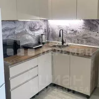 Студия Новосибирская область, Новосибирск ул. Коминтерна, 89 (28.0 м) - Фото 2