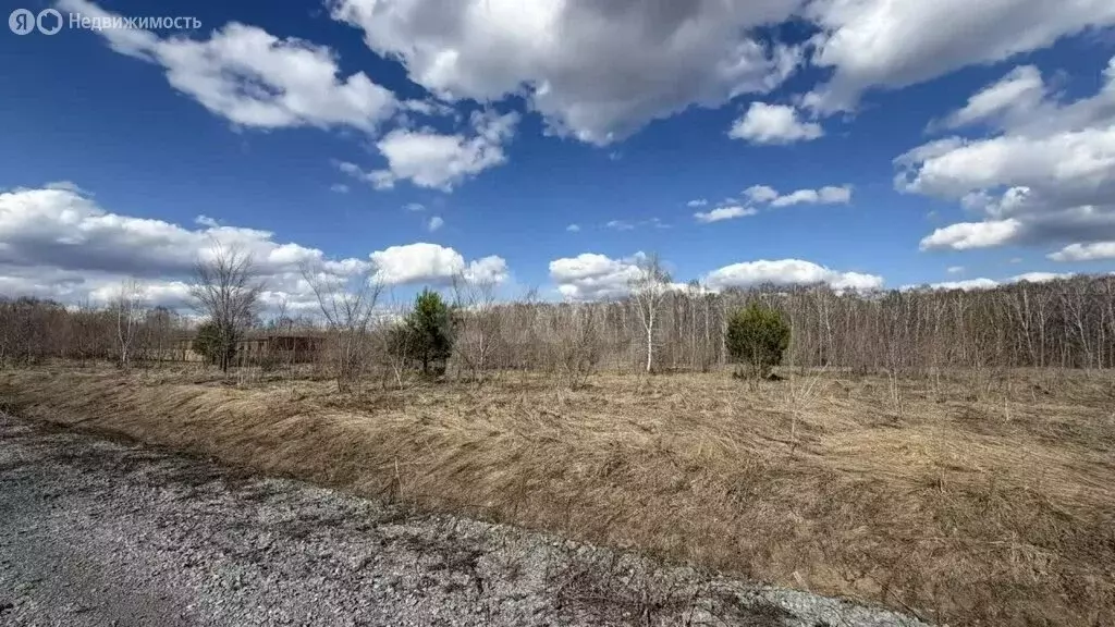 Участок в посёлок Пригородный, Сосновая улица (12 м) - Фото 2