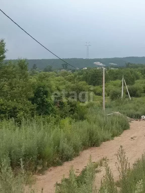 Участок в Амурская область, Благовещенский район, с. ... - Фото 1