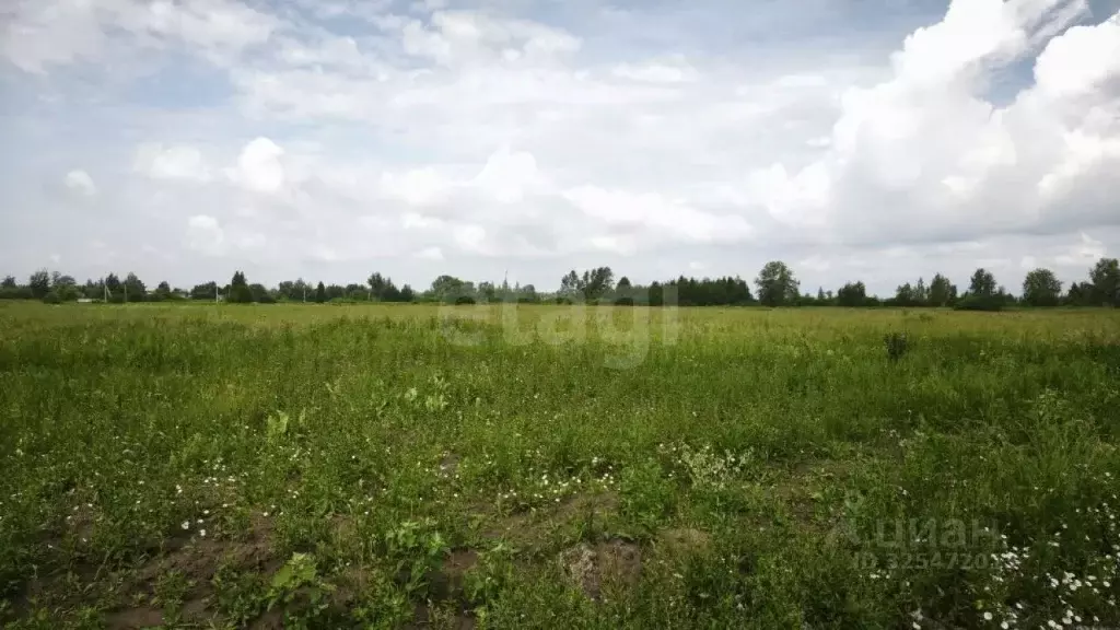 Участок в Новосибирская область, Новосибирский район, с. Кубовая, ... - Фото 2
