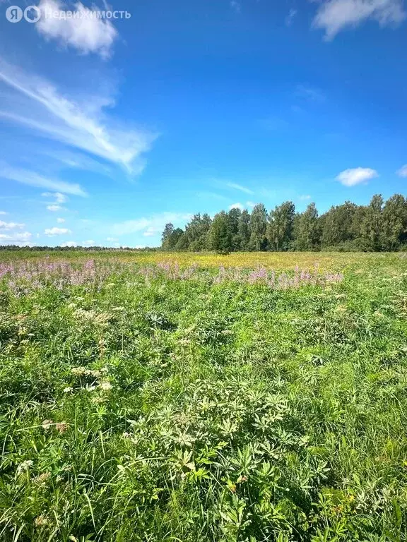 Участок в Московская область, городской округ Клин, деревня Вертково ... - Фото 1