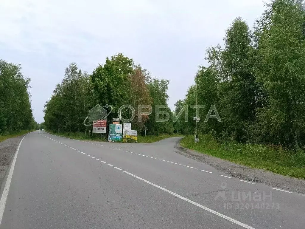 Участок в Тюменская область, Нижнетавдинский район, Сундукульский ... - Фото 1