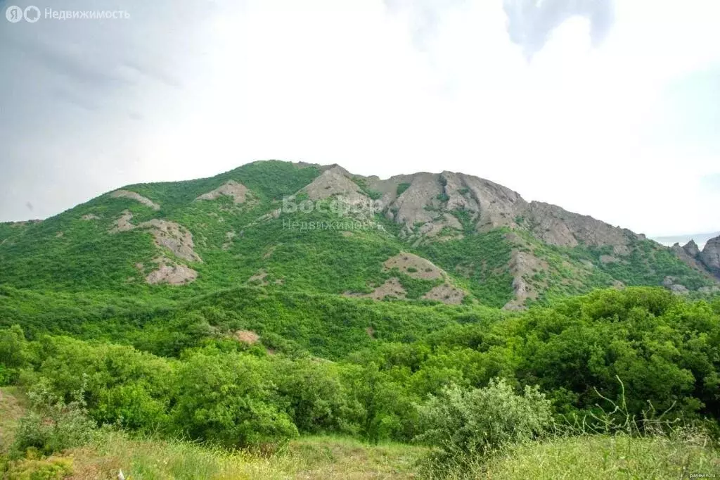 Дом в Республика Крым, муниципальный округ Судак, село Лесное (218 м) - Фото 1