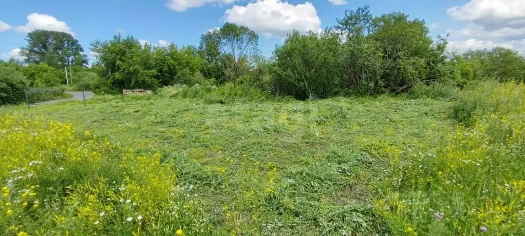 Участок в Кемеровская область, Кемерово ул. Лебяжья (4.9 сот.) - Фото 2