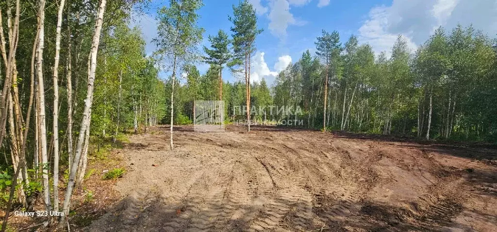 Продается участок в д. Козлово - Фото 1