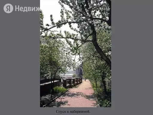 Дом в Красноярск, улица Борисевича, 1г (20 м) - Фото 1