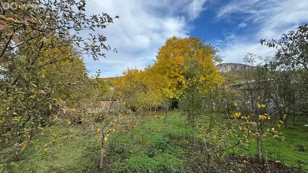 Участок в Соколиное, улица Ленина (16 м) - Фото 2