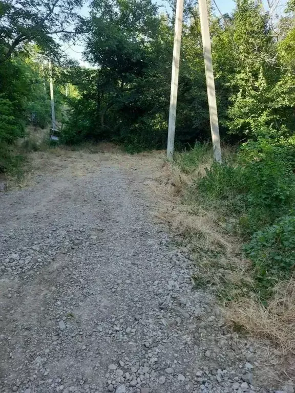 Участок в Крым, Алушта муниципальный округ, Партенит пгт ул. ... - Фото 1