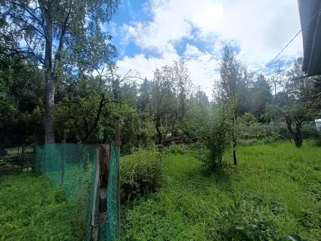 Участок в Ленинградская область, Гатчинский район, Вырица городской ... - Фото 1