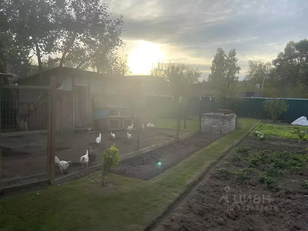 Участок в Тверская область, Конаково ул. Свободы (5.0 сот.) - Фото 1