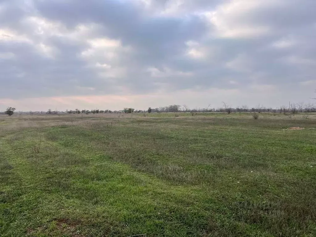 Участок в Крым, Симферопольский район, Николаевка пгт ул. Советская ... - Фото 1