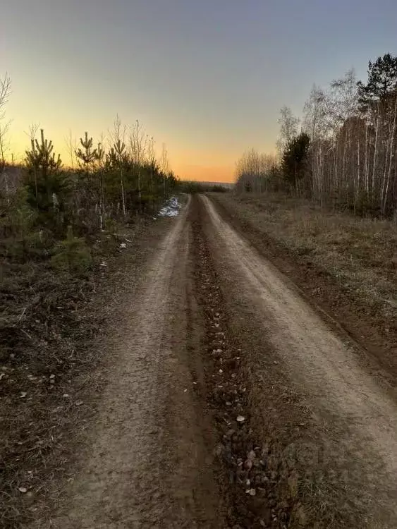 Участок в Иркутская область, Иркутский муниципальный округ, с. ... - Фото 2