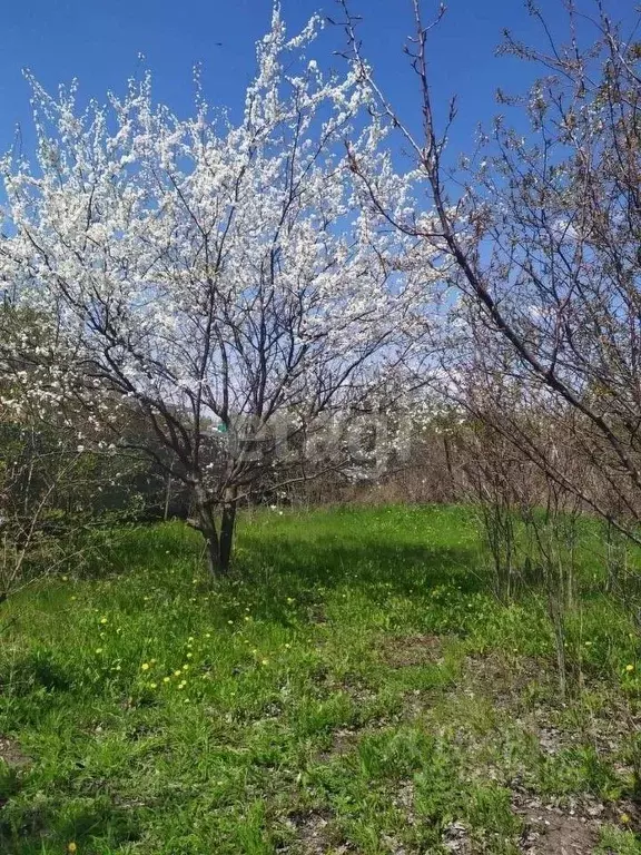 Купить Дачу В Новоусманском Районе Воронежской Области