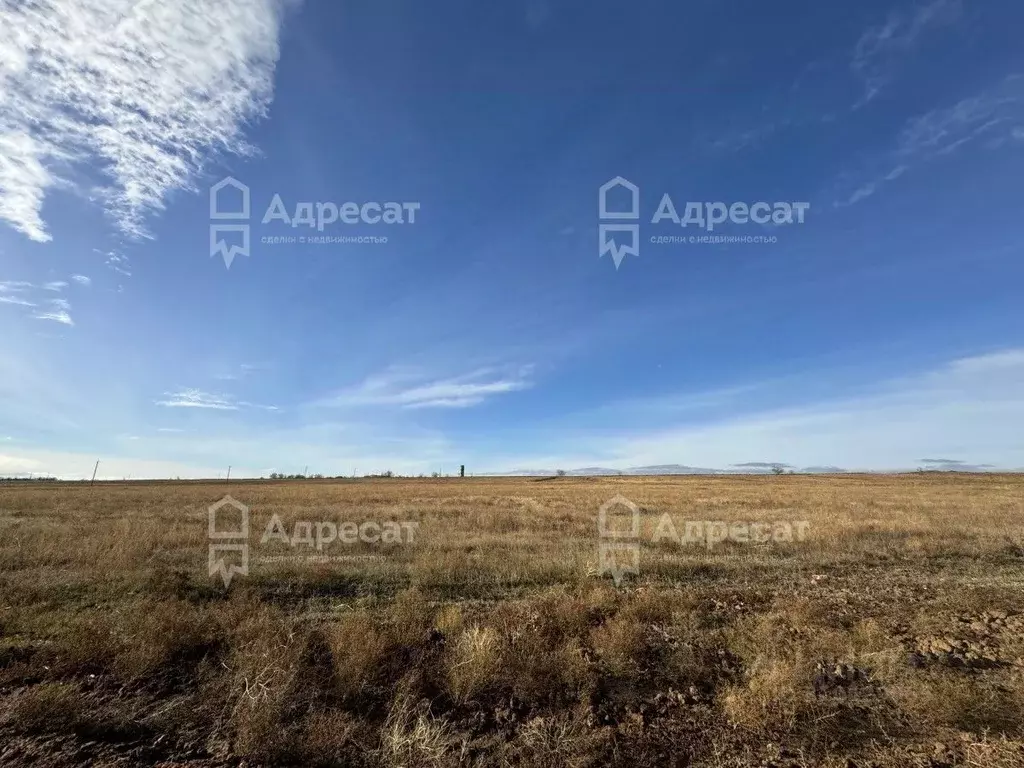 Участок в Волгоградская область, Светлоярский район, Дубовоовражное ... - Фото 0