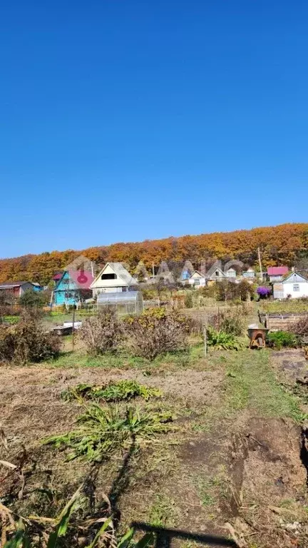 Участок в Приморский край, Арсеньев Пионер садоводческое товарищество, ... - Фото 0