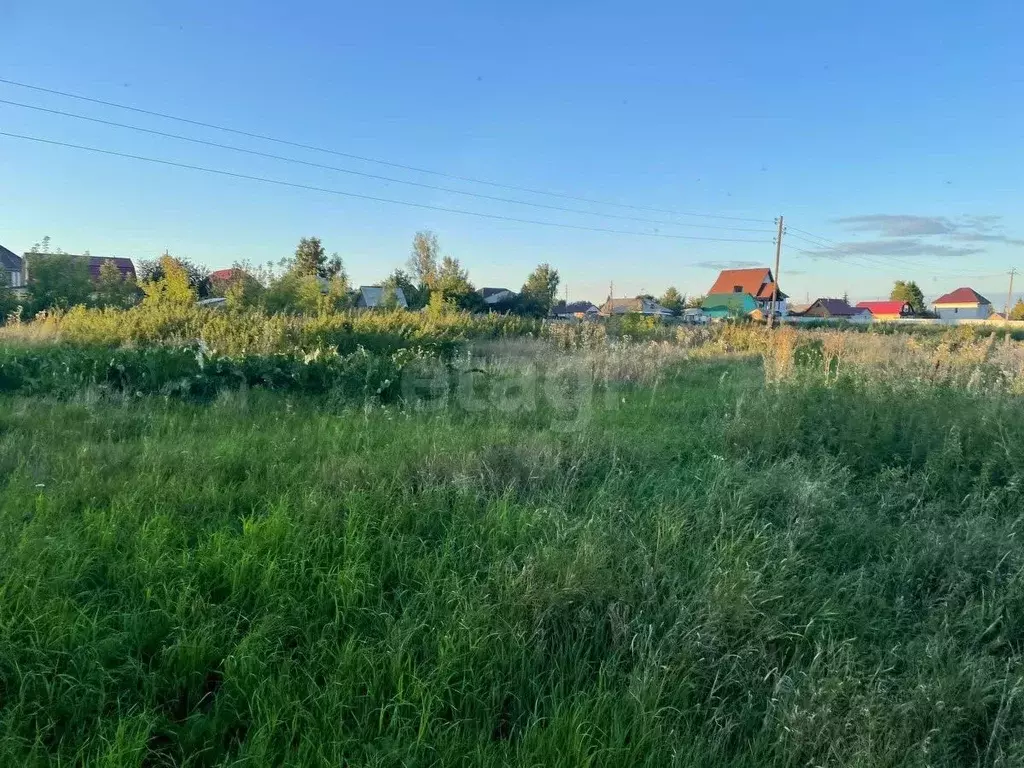Участок в Новосибирская область, Новосибирский район, с. Ярково ... - Фото 0
