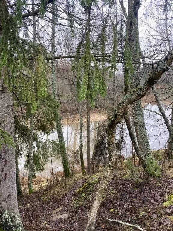 Дом в Московская область, Можайский муниципальный округ, Тихий Луг СНТ ... - Фото 2