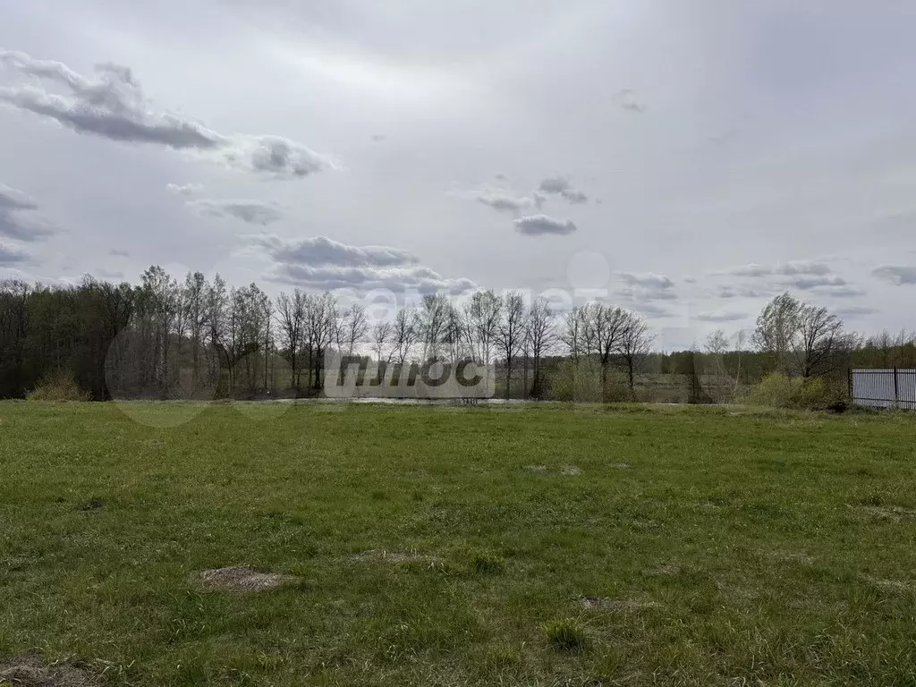 Участок 9,8 сот. (СНТ, ДНП) - Фото 0
