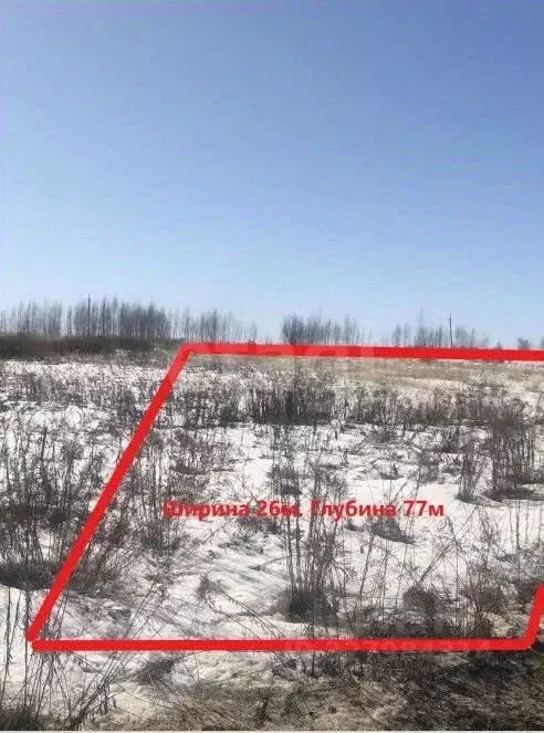 Участок в Брянская область, Брянский район, Глинищевское с/пос, с. ... - Фото 2