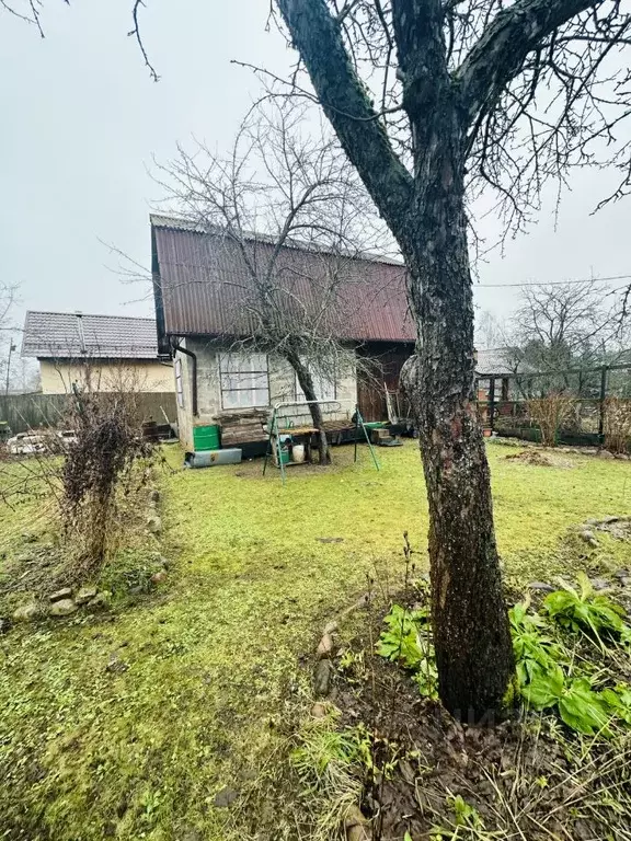 Дом в Московская область, Солнечногорск городской округ, д. Талаево, ... - Фото 2
