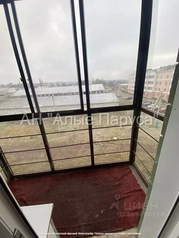 1-к кв. Белгородская область, Белгородский район, с. Стрелецкое ул. ... - Фото 1