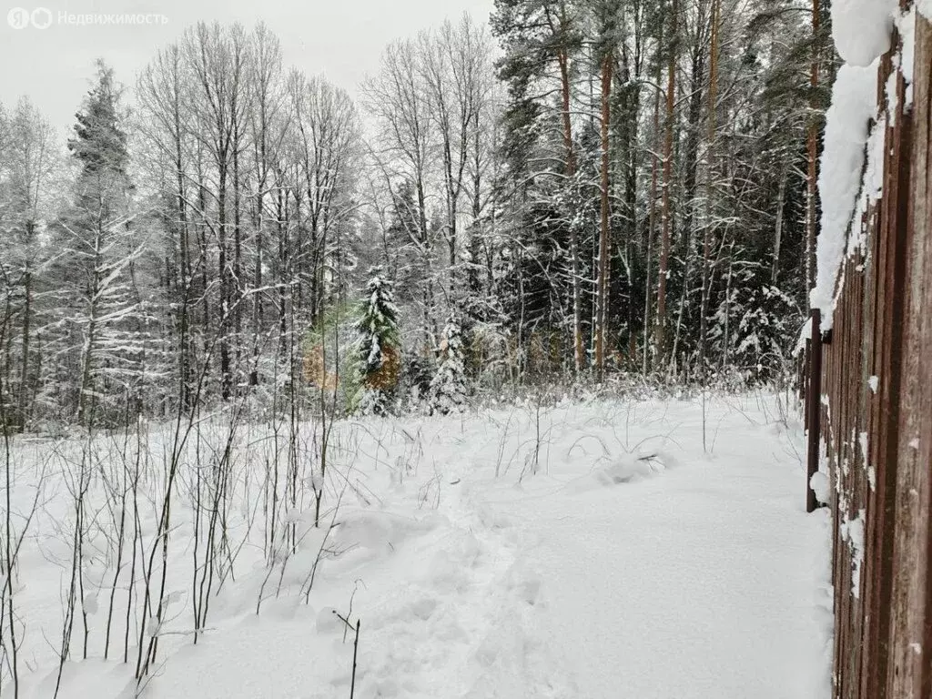Участок в Выборгский район, Первомайское сельское поселение, посёлок ... - Фото 1