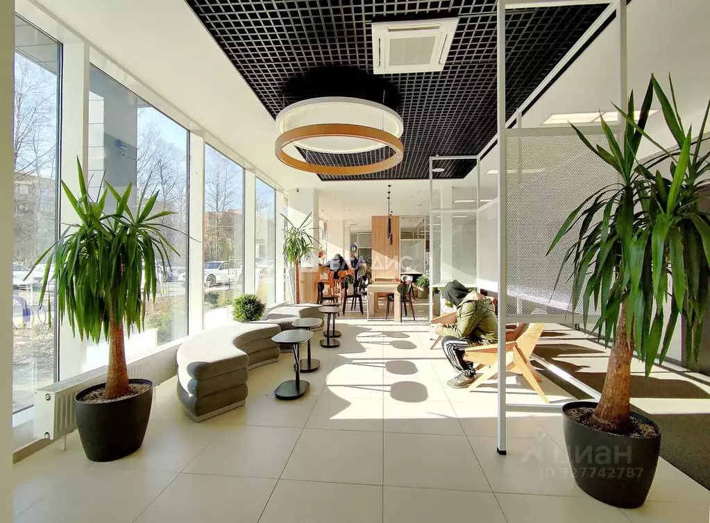 Студия Санкт-Петербург ул. Матроса Железняка, 2 (18.5 м) - Фото 1