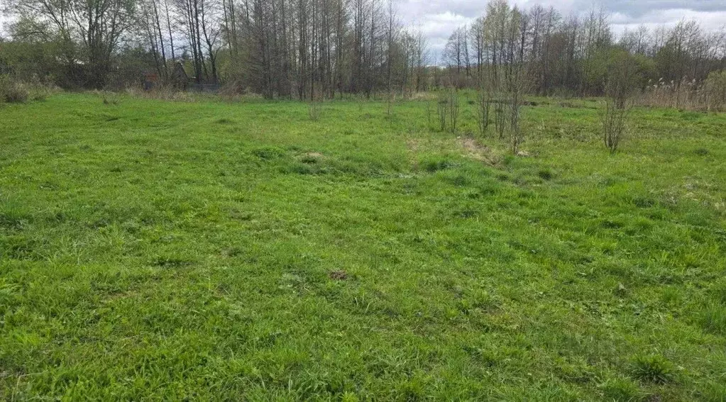Участок в Московская область, Ступино городской округ, д. Дубнево, ... - Фото 1
