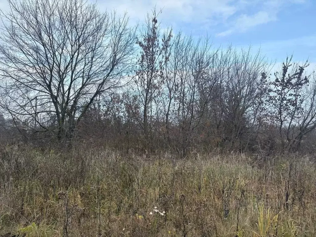 Участок в Московская область, Воскресенск городской округ, с. Ачкасово ... - Фото 1