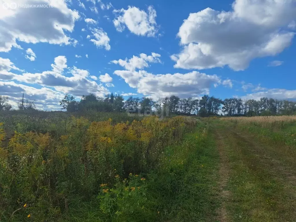 Участок в Киреевский район, сельское поселение Богучаровское, село ... - Фото 2