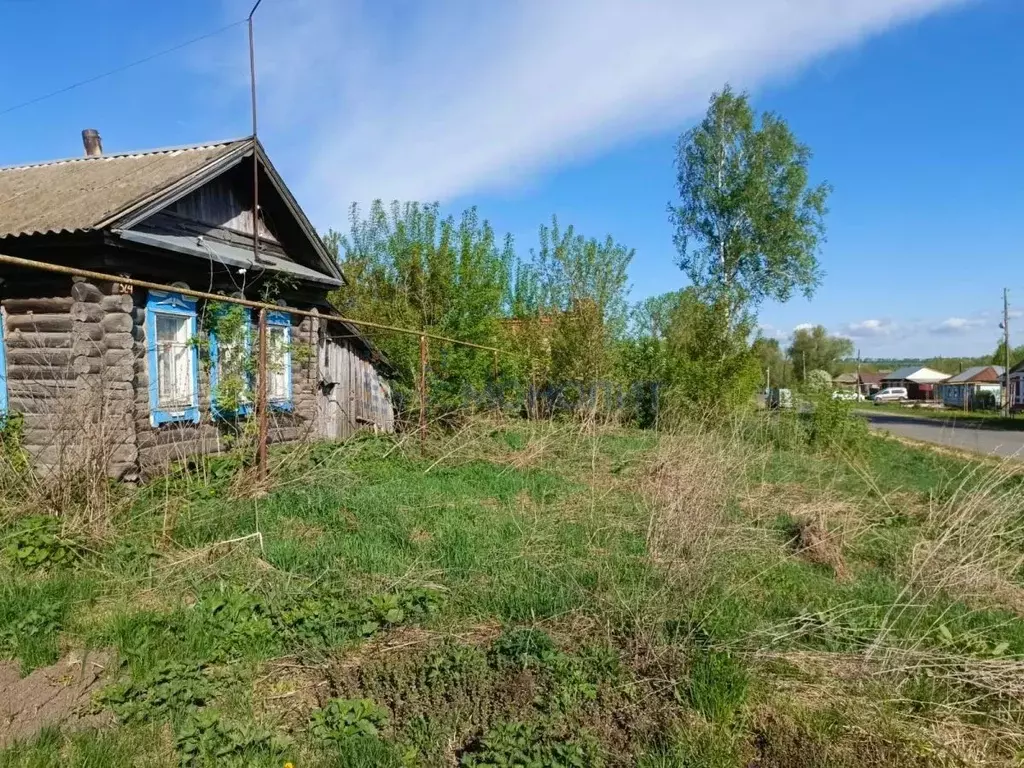 Дом в Нижегородская область, Починковский муниципальный округ, с. ... - Фото 1