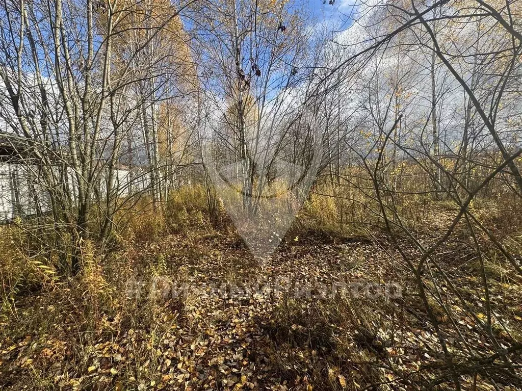 Участок в Рязанская область, Рязанский район, Льговское с/пос, д. ... - Фото 1