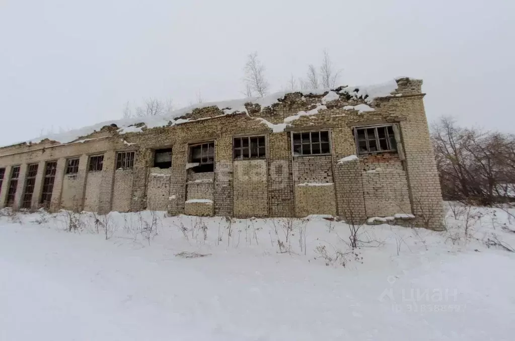 Склад в Курганская область, Далматово ул. Гагарина, 89А (867 м) - Фото 1