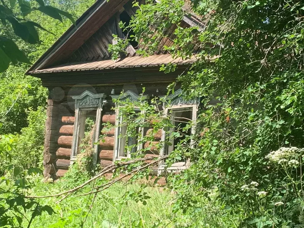 Участок 50 га (ИЖС) - Фото 0