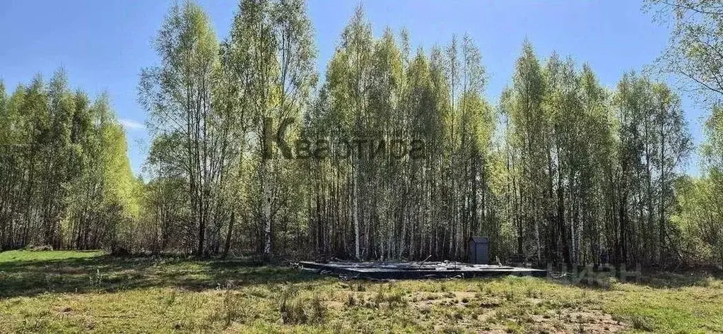 Участок в Смоленская область, Смоленский муниципальный округ, д. ... - Фото 2