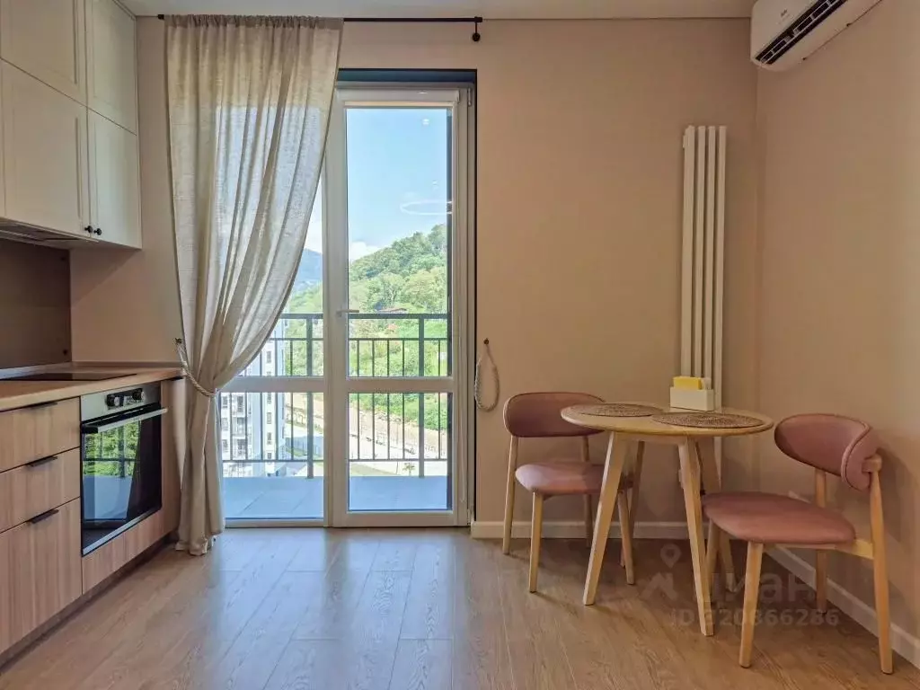 1-к кв. Краснодарский край, Сочи ул. Искры, 88к1 (25.0 м) - Фото 1