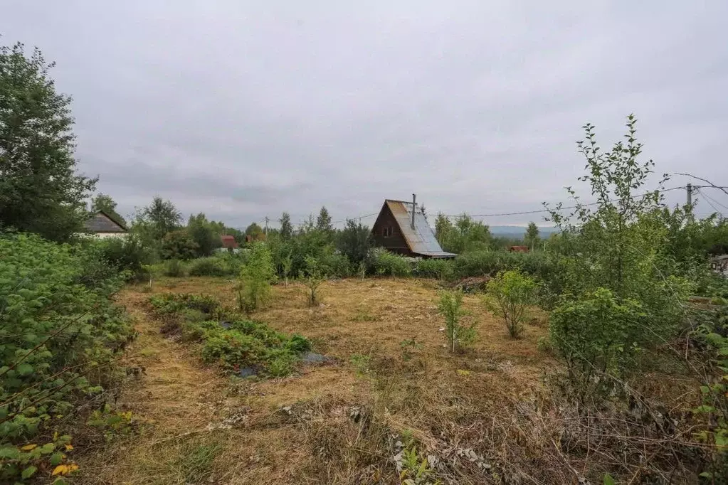 Участок в Иркутская область, Иркутский муниципальный округ, Минерал ... - Фото 2